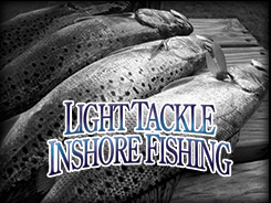 NC Light Tackle Inshore Fishing Charters