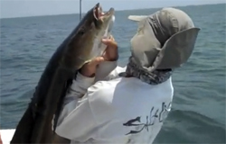 Outer Banks Fishing Charter for Cobia Summer 2010