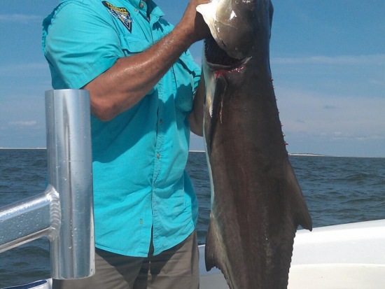   Fishing Report 7/08/13