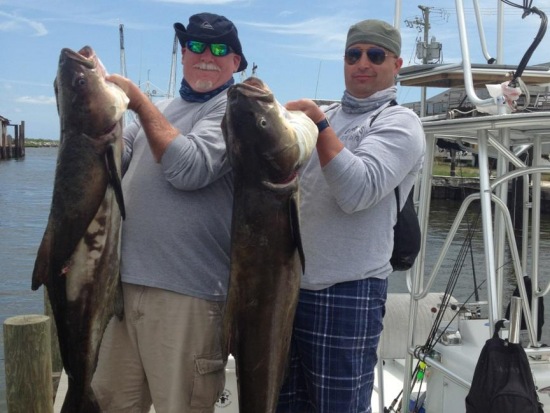  Fishing Report 6/06/13