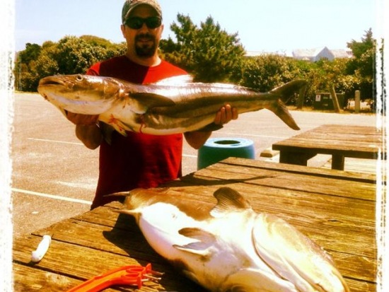 5/13/14 Cobia Fishing Report