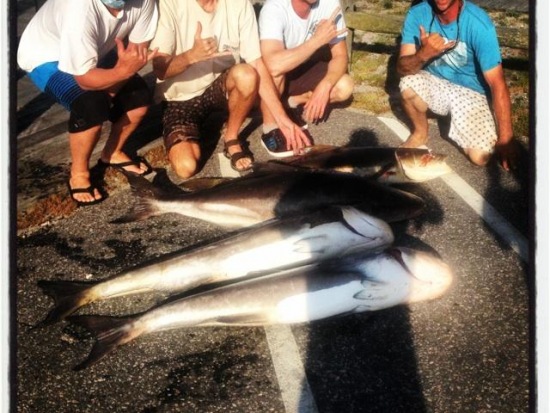 5/12/14 Cobia Fishing Report