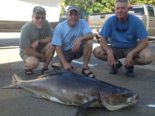    Fishing Report 6/20/13