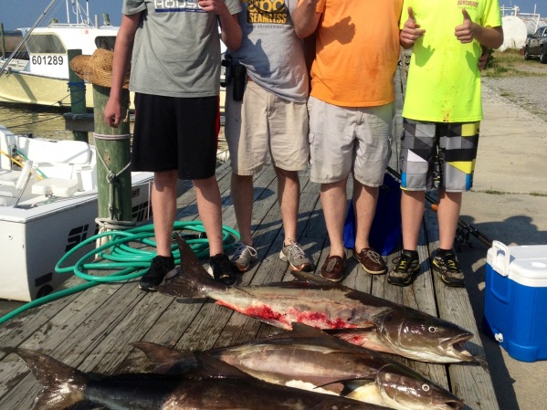 6/12/14 Fishing Report