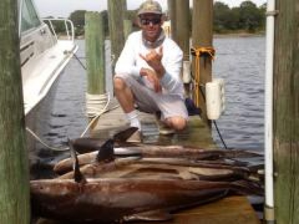 4/15/14 Cobia Report