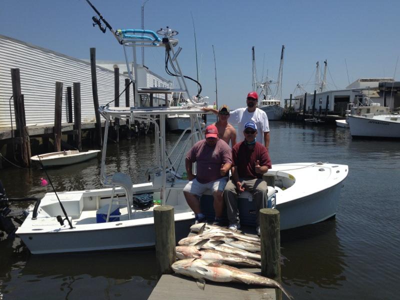 2013 Short Clip of Cobia action!